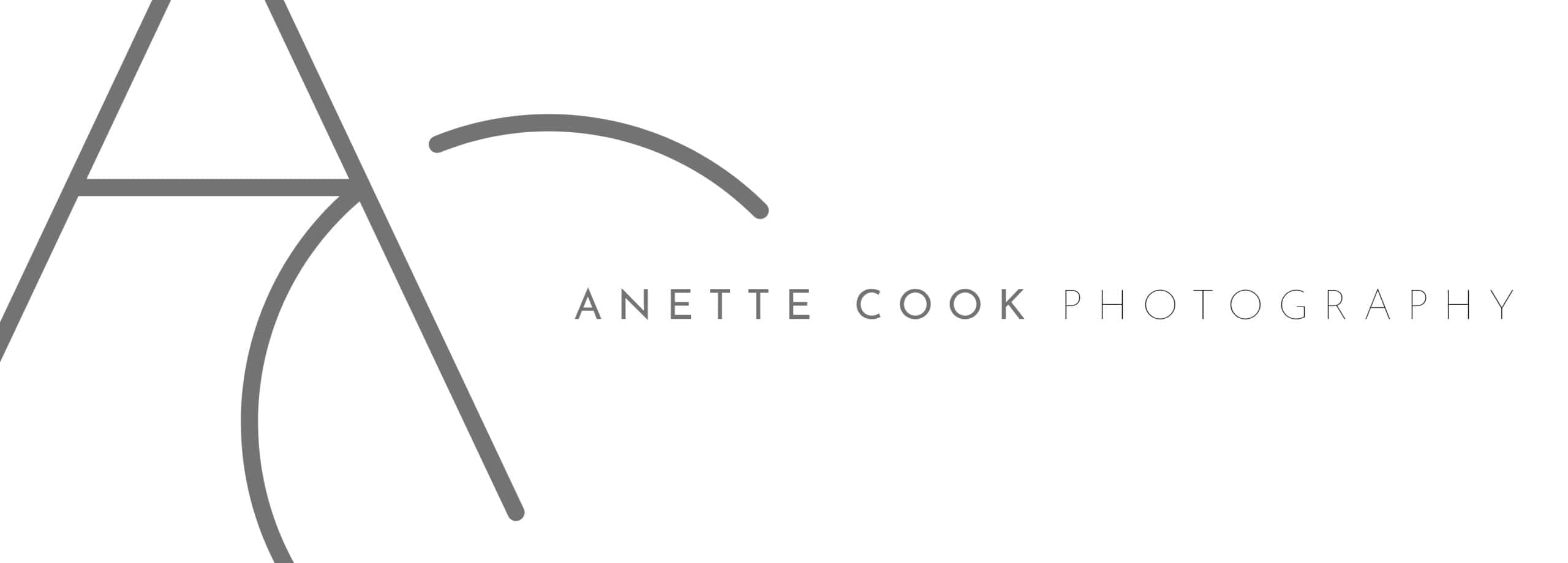 abstract elegant family photographer logo in black and grey text